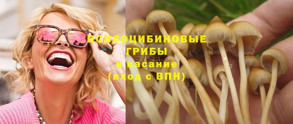 амф Горно-Алтайск