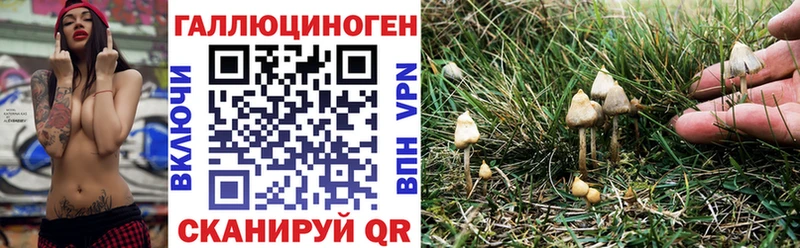 Галлюциногенные грибы мицелий  Ермолино 